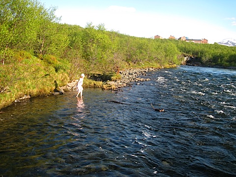 Abisko Juni 2009 dag 5 - 50.jpg